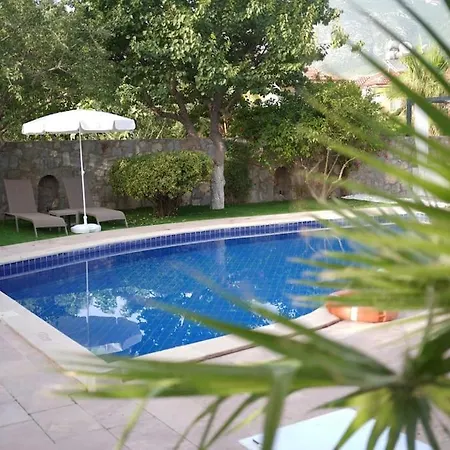 Villa Seyir